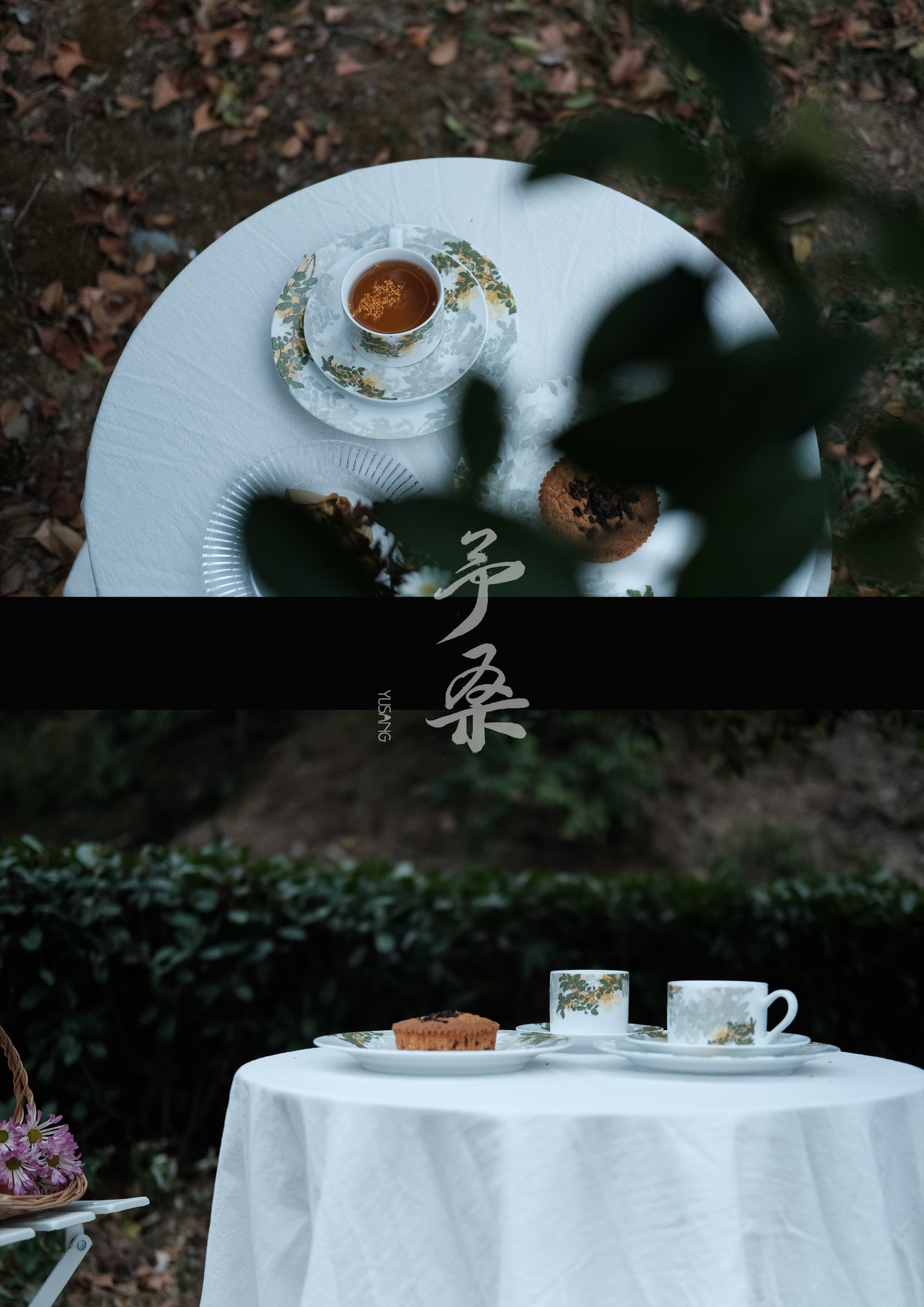 Moonlight Osmanthus Series